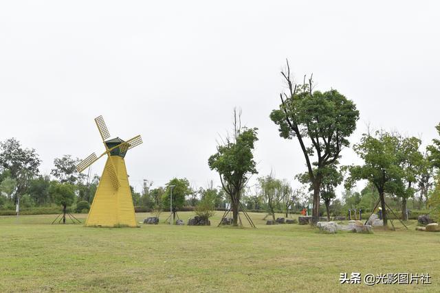 合肥市肥西县官亭林海
