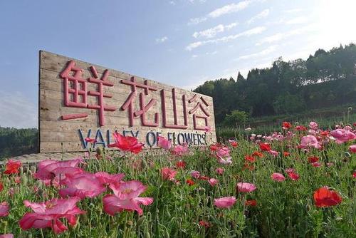 号称"沱江第一城"的成都金堂县旅游必去的三个景点,你