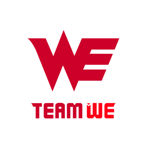 你认识we战队吗?