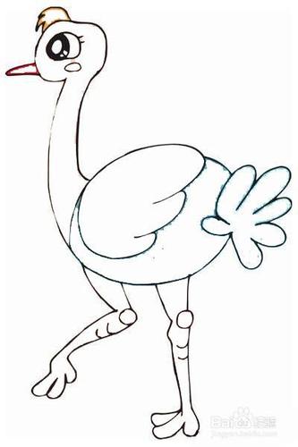彩色鸵鸟的简笔画