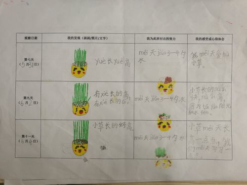 草头娃娃成长记录表