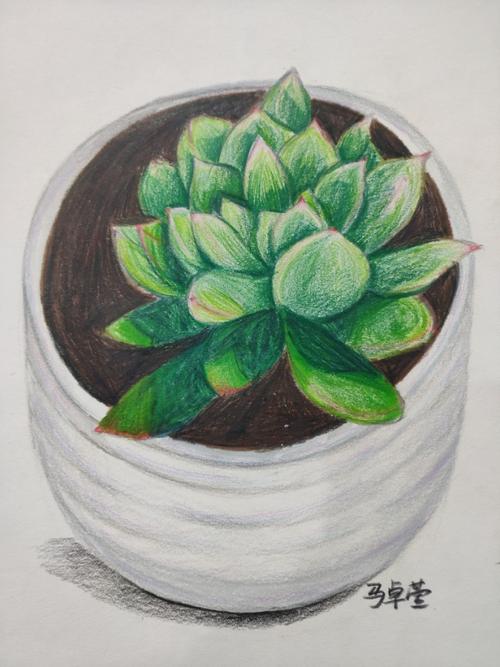 世正美校2020五年级彩铅画课程展示