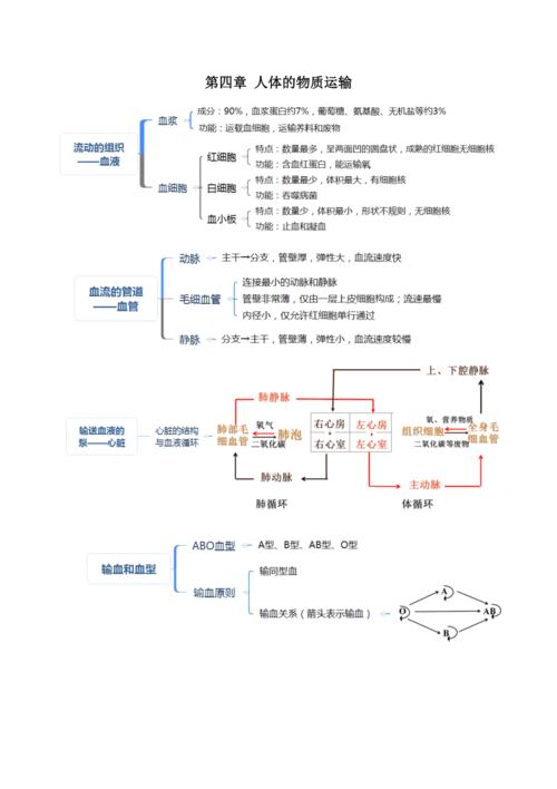 人教版七年级生物下册考点思维导图版