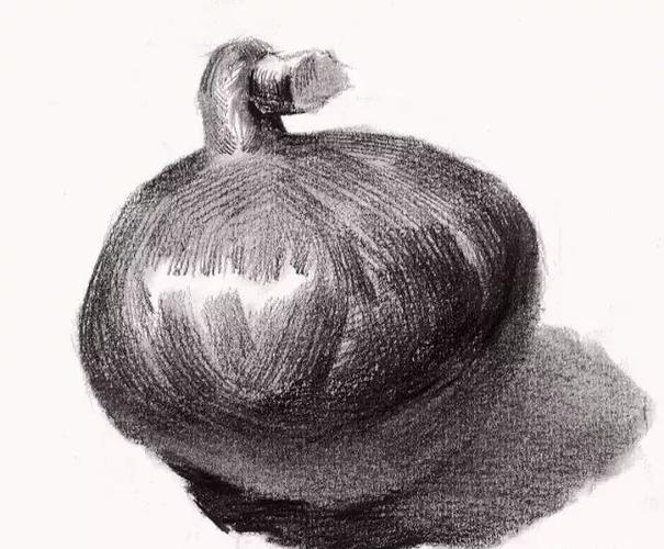 素描静物单体素材合集水果类蔬菜类都有了