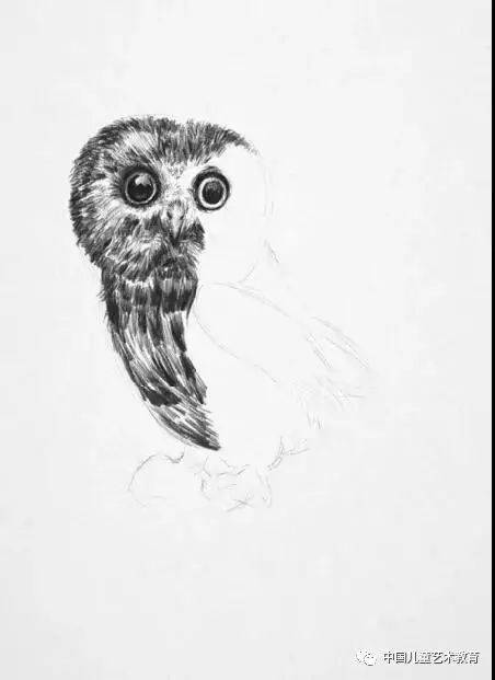 猫头鹰身体上的羽毛比较短小,色调的深浅变化要均匀,用线则需要从上到
