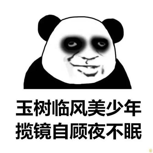 玉树临风美少年揽镜自顾夜不眠qq表情包搞笑图片表情