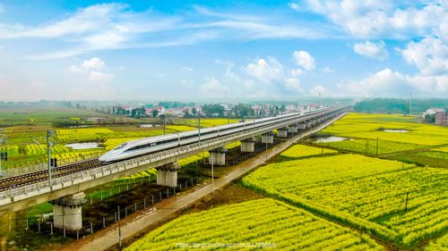 江西万安:开往春天的高铁 (共 16 p)