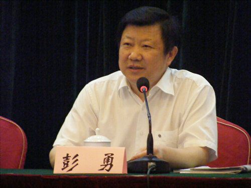 湖北省政府原副秘书长彭勇犯受贿罪被开除党籍