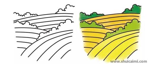 然后像下图一样给麦田涂上丰收的金光,这样我们的麦田简笔画就完成了