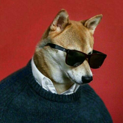 一些自己会来回使用的头像