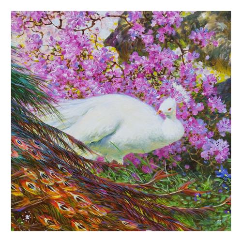 【视频看货】姜正哲《孔雀》朝鲜功勋艺术家写动物景客厅画