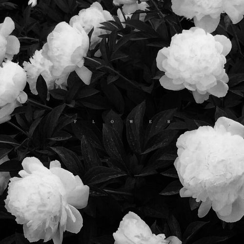 我惦念的人,岁岁平安,即使,生生不见 .[心]