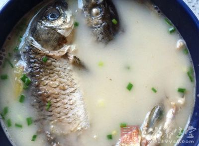 鱼汤怎么做最鲜美可口?