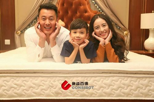 其它 荣誉2017——康姿百德 写美篇 康姿百德地磁床垫 推广健康科技