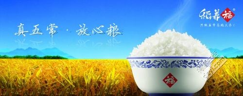 稻养福03五常大米,好吃又健康