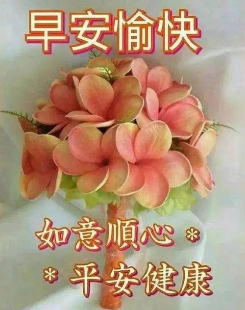 1月26日祝大家周三快乐图片周三快乐早安动态图片冬季快乐gif表情包