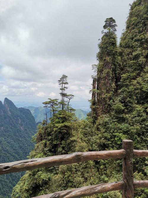 莽山五指峰一日游记:2020六月二十日几位老同学相约到