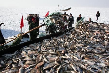 赤峰:内蒙第二大内陆淡水湖冬捕捞开始