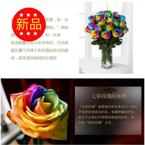 代理批发厄尔多瓜进口玫瑰彩虹玫瑰柠檬水粉色佛洛伊格林童话甜心