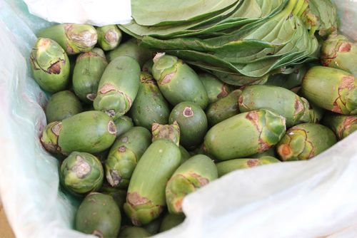 原来槟榔是这个样子图片