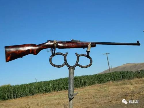 当年中国最普及的民用步枪:苏联toz-8小口径运动步枪