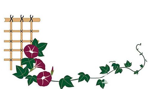 数学黑板报花边图片欣赏