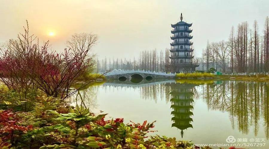 【美哉邳州】这几天,邳州很多市民都涌向桃花岛!因为这里