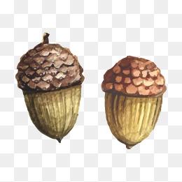 松子手绘图片大全