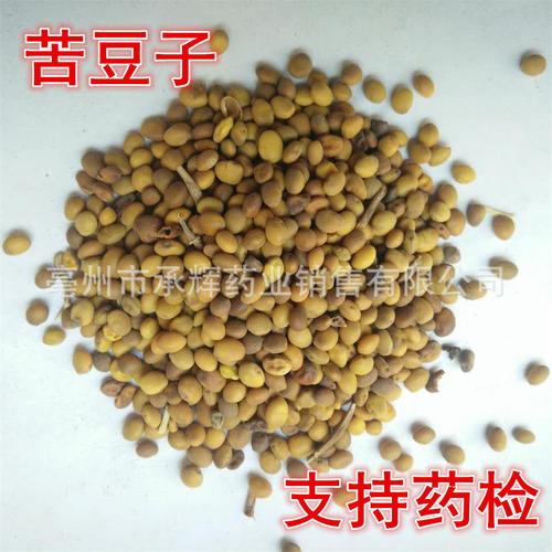 中药材 苦豆子 苦马豆 羊尿泡 马皮泡 支持药检 常年大货