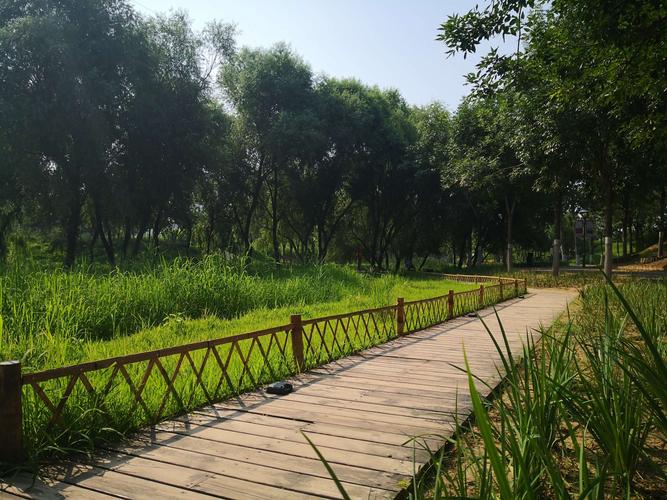 永兴河湿地公园游记