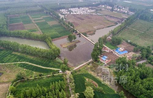 事件地点:合肥=>长丰县=>杜集乡