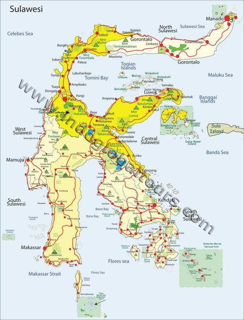 sulawesi tour with indoglobal adventure