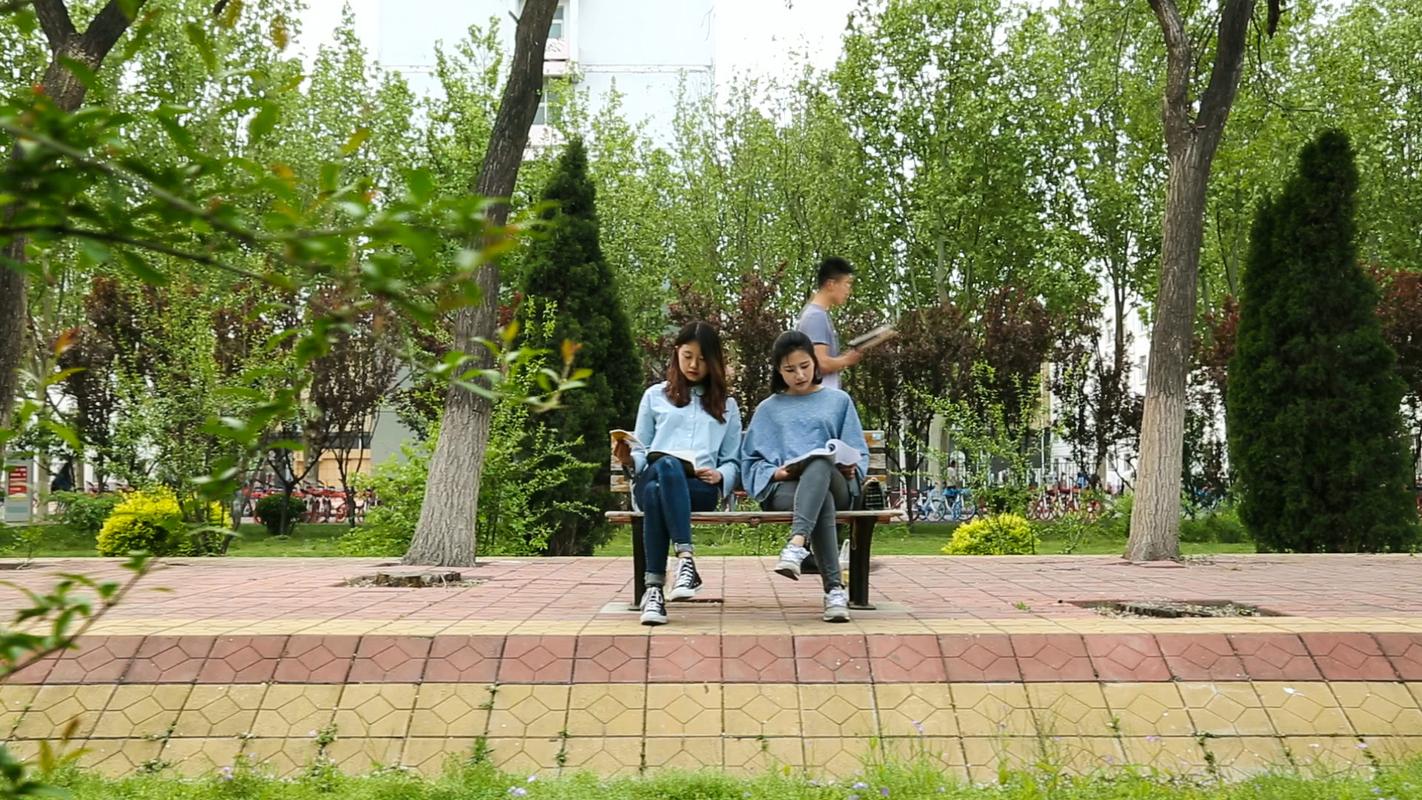 大学生校园读书实拍高清视频素材