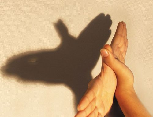 可是影子怎么变出小鸟,小鸭子呢?我们一起来研究研究吧!