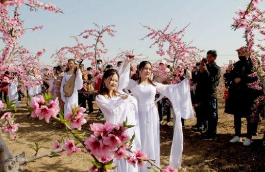 平顶山叶县第四届桃花节开幕 千亩桃花竞相绽放