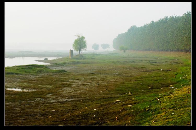 标题:家乡的风景