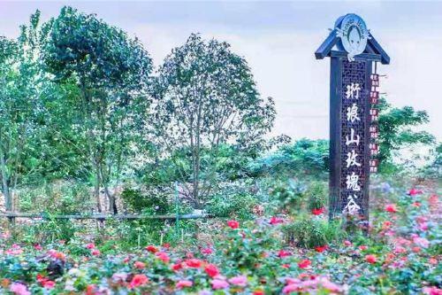 珩琅山玫瑰谷