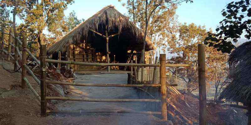 > 工作动态 大青树下有一间古老的景颇族民居,长方形杆栏式建筑,房屋