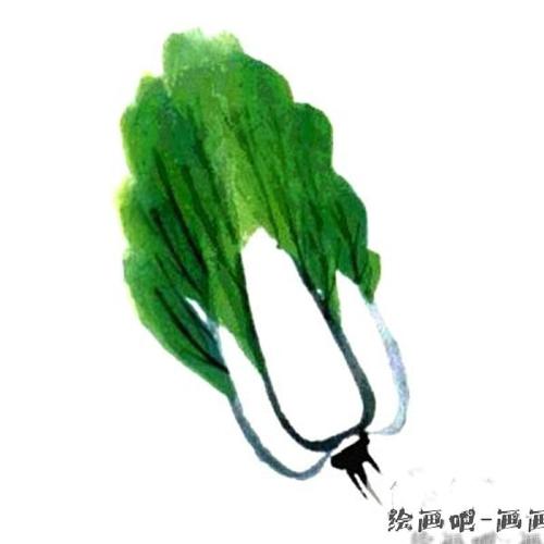 国画白菜的画法步骤