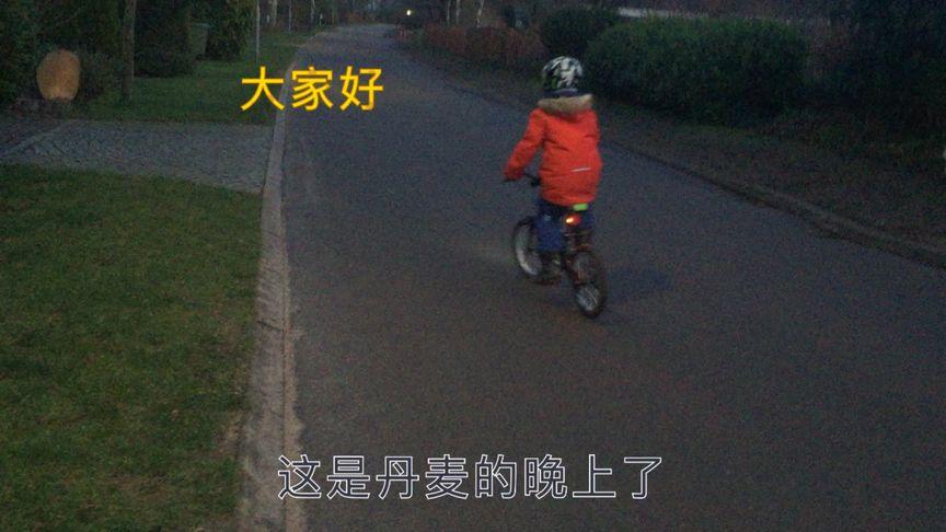 中丹混血
