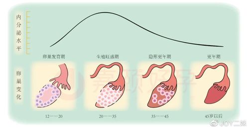 不同年龄的卵巢储备功能