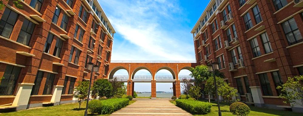 武汉设计工程学院2021录取查询官方入口