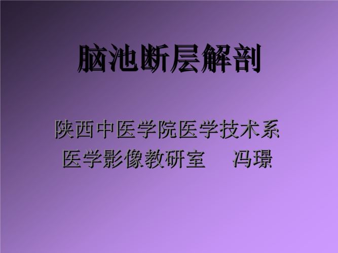脑池断入层解剖1.ppt