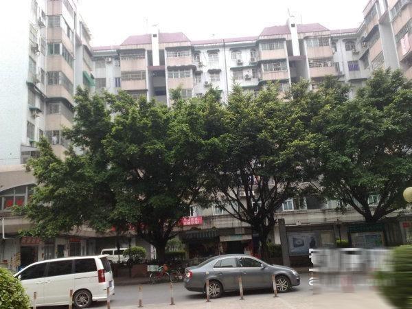 梅花园地铁口 梅苑小区 步梯中层 正规三房 配套,广州
