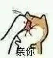 适合情侣用的可爱亲亲表情包!