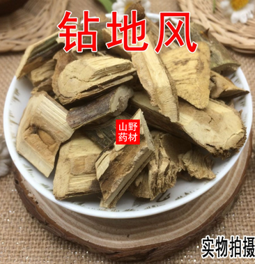 云南野生中药材钻地风钻地枫追地枫500g起发