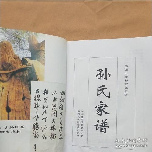孙氏家谱(山西洪洞大槐树)