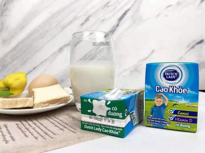 菲仕兰dutch lady子母奶学生儿童牛奶110ml*48