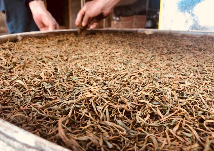众雅茶仓 | 安化红茶 【九龙池】