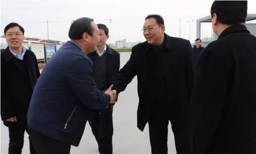局长汪曙光,安庆市望江县县委书记李跃云,县长霍辉,常务副县长曹宏斌